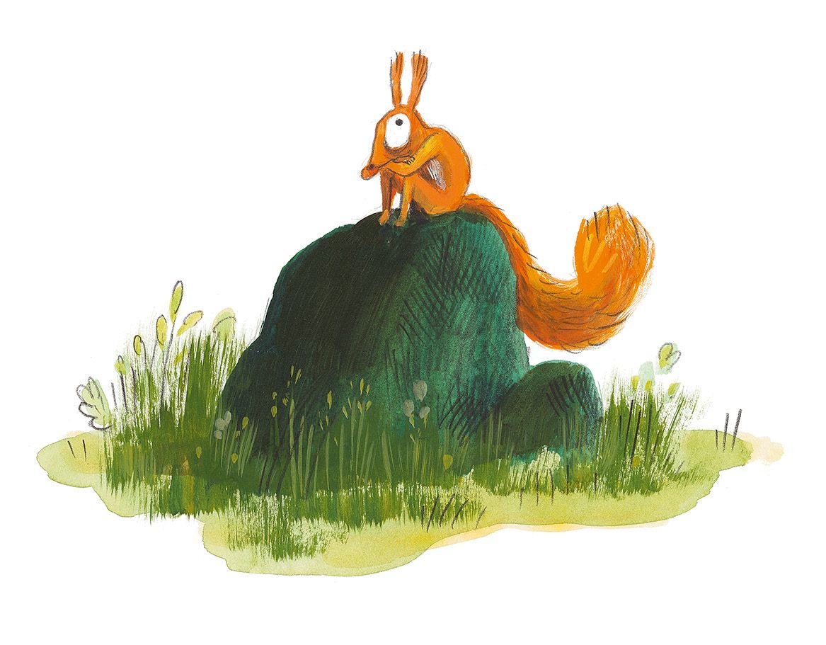 Character art of Squirrel on a rock in a field