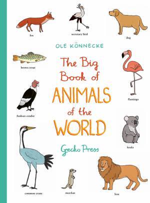 Big Book of Animals of the World | Gecko Press