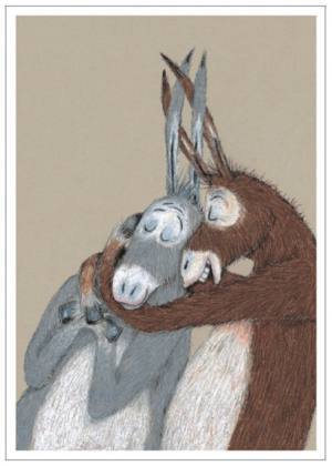 Donkeys Childrens Book, Gecko Press