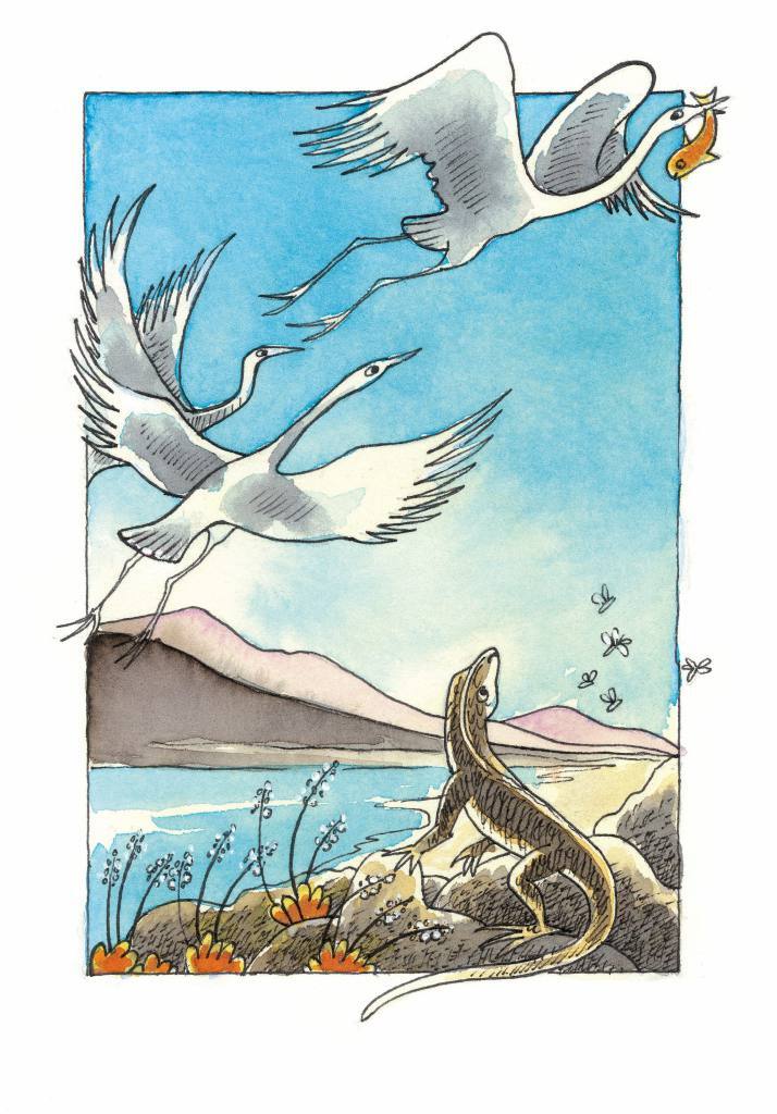 Snake and Lizard gift card Gavin Bishop Joy Cowley Snake and Lizard gift card Gavin Bishop Joy Cowley