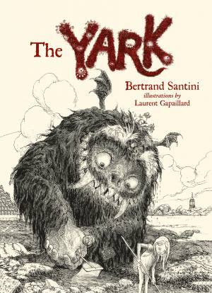 The Yark Bertand Santini Laurent Gapaillard Gecko Press