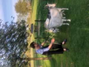 Annemarie with goats