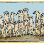 Do Animals Fall in Love spot art meerkats (c) Anke Kuhl