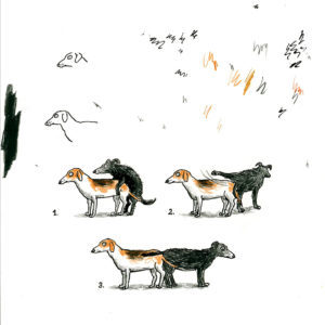 drawing of dogs